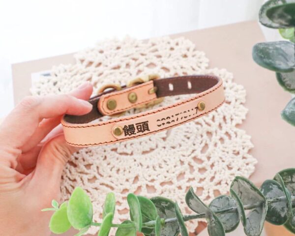 寵物項圈 寵物皮革項圈